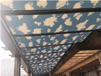 蜂巢帘